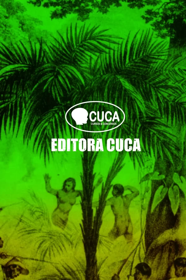 LIVRO HISTÓRIA DO AMAZONAS Volume 1 - Image 3